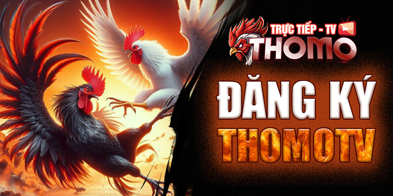 Đăng ký ThomoTV - Cách thức cần thiết dành cho tân binh tmtv dk