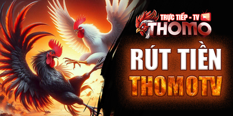 Rút tiền ThomoTV - Những chú ý trước khi rút tiền vốn cược tmtv ruttien