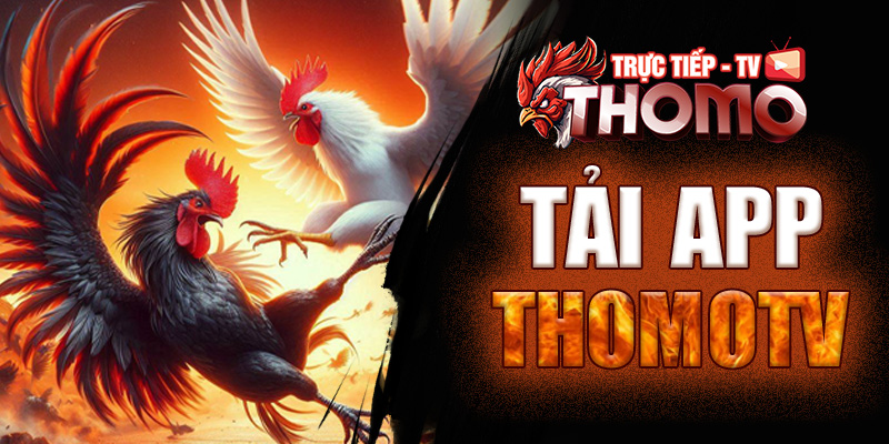 Tải app ThomoTV để tham gia chơi các trò cá cược đỉnh cao tmtv taiap