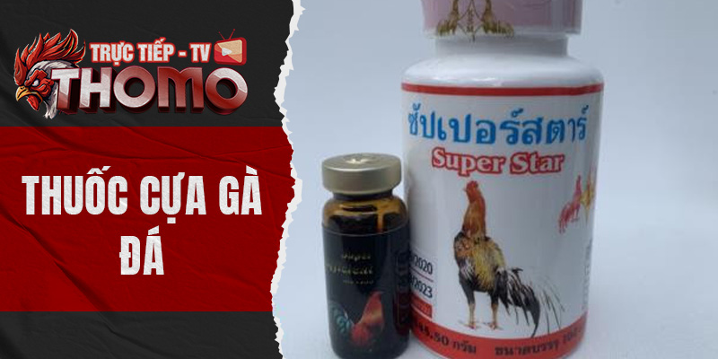 thomotv thumbnail 19